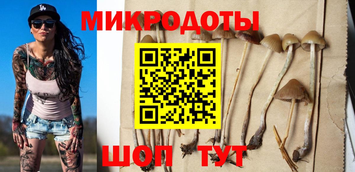 Галлюциногенные грибы мухоморы Сокол